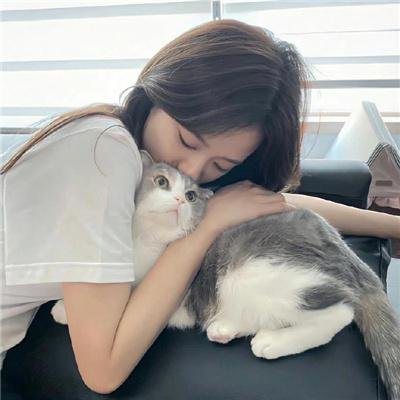 你好布拉德